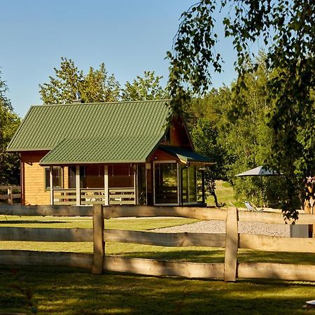 Apartamenty Biale Brzozy Florczaki エクステリア 写真