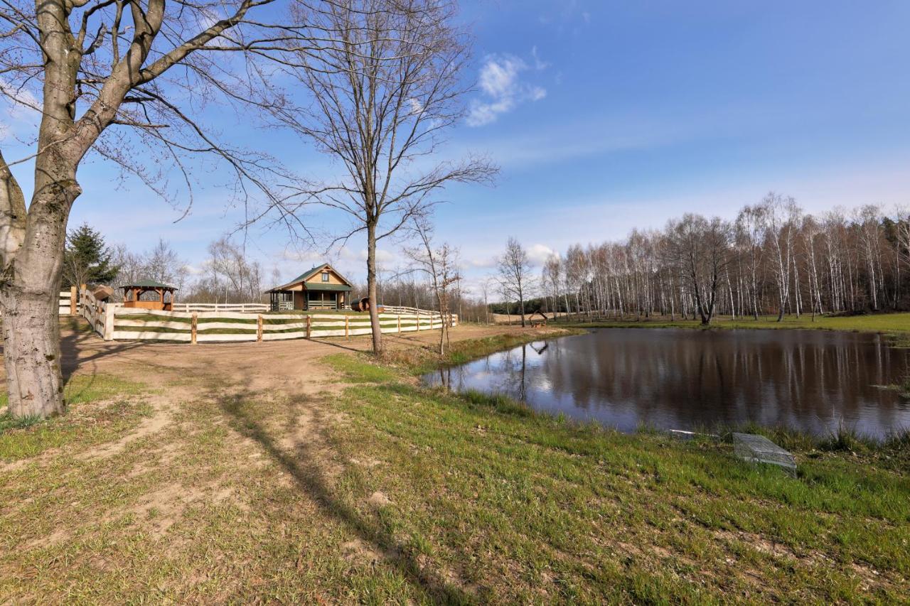 Apartamenty Biale Brzozy Florczaki エクステリア 写真