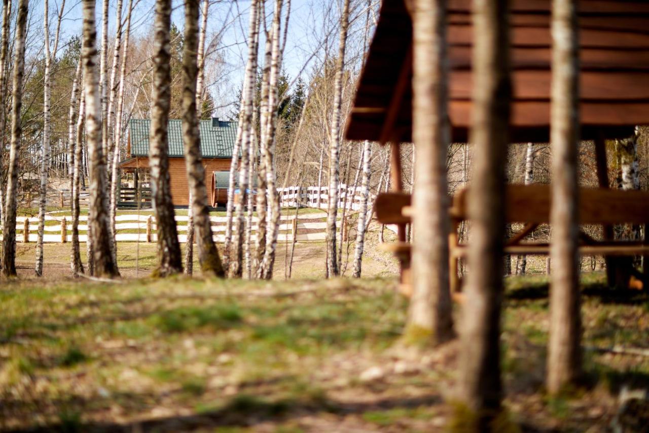 Apartamenty Biale Brzozy Florczaki エクステリア 写真