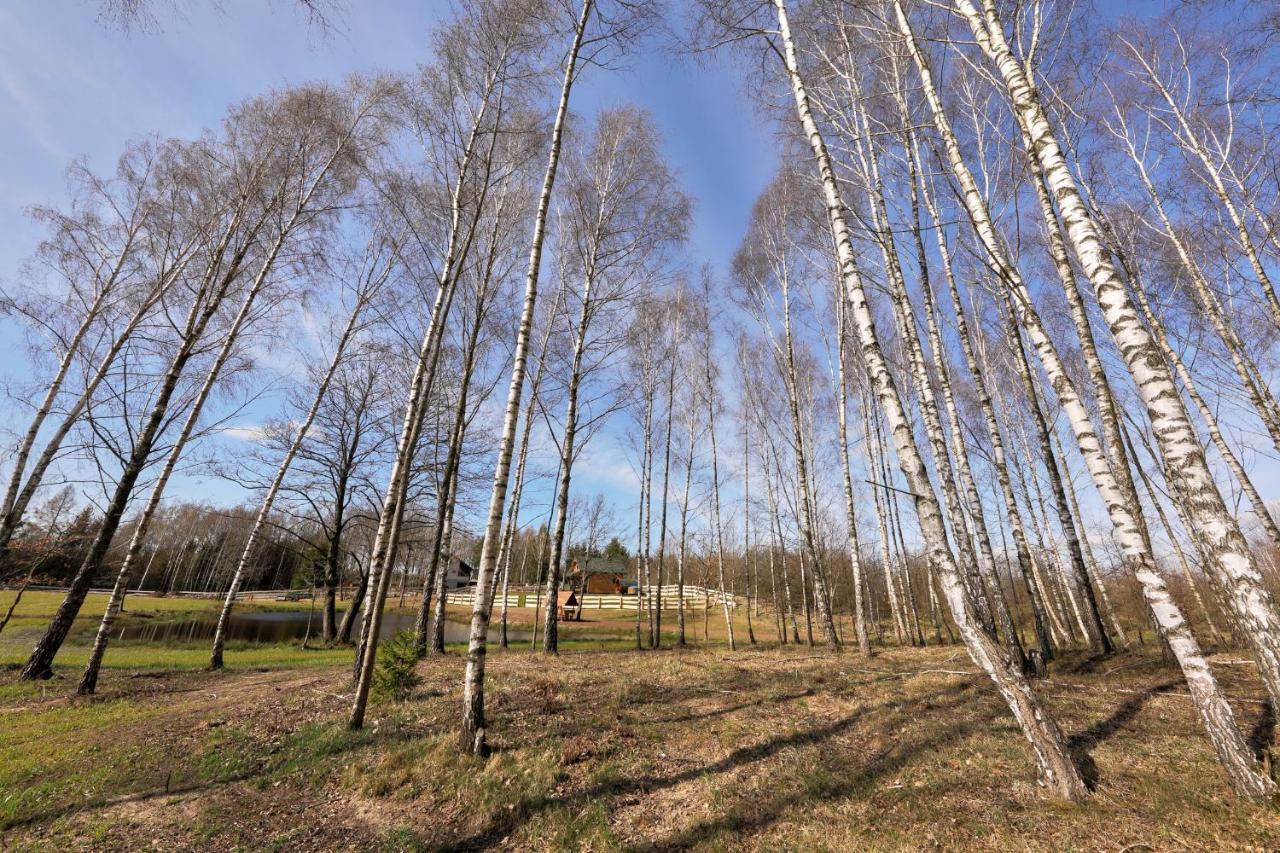 Apartamenty Biale Brzozy Florczaki エクステリア 写真